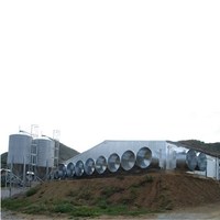 Fabricant chinois de poulaillers préfabriqués, maisons en acier, conception de Structure en acier, ferme de volaille, hangar, grange