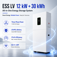 Système de batterie ESS solaire domestique tout-en-un LiFePO4 51,2 V 600 Ah 30 kWh avec onduleur hybride triphasé intégré 12 kW