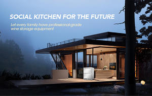 American home bar réfrigérateur eau boissons aux fruits refroidissement haut de gamme <span class=keywords><strong>tactile</strong></span> contrôle numérique 24 intégré bar réfrigérateur - Product Image 6