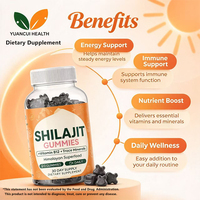 Gummies à la formule personnalisée, extrait de Shilajit non-OGM, véganes, à mâcher, vente en gros