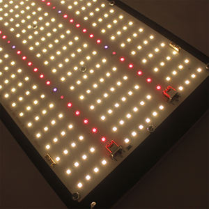 Figolite 2022 <span class=keywords><strong>Novità</strong></span> Originale Scheda LM301h V5 240W Lampada LED per Coltivazione con Controllo Interruttore 395nm 730nm - Product Image 5