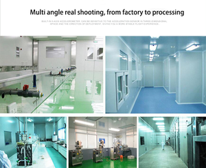 Graines de cochon sans odeur, g, gluatinine de qualité alimentaire, pour porche - Product Image 6