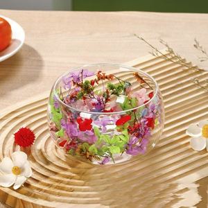 Glazen schaal met dubbele laag, hittebestendig, voor fruitsalade, soep, ontbijtgranen, desserts, droogbloemen. - Product Image 5