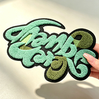 Patch en chenille personnalisé avec lettres, broderie 3D moelleuse, appliqué multicolore thermocollant pour sweat à capuche, accessoires de mode pour vêtements