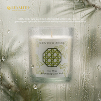 Bougie parfumée en cire de soja, boîte cadeau en verre transparent, senteur botanique, pour le bien-être, parfum personnalisé, MSDS REACH, vente en gros