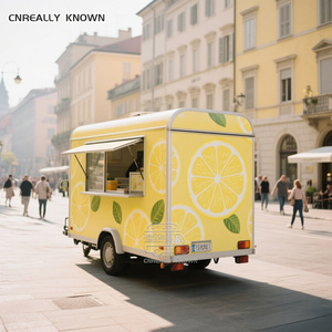 OEM Concession <b>Catering</b> <b>Mobile</b> <b>Van</b> FoodBBQ Trailer Ice Cream Coffee Fast Food Truck For Sale - Product Image 6