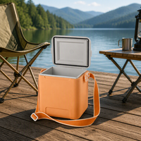 Glacière portable 10L avec poignée pour pique-nique, camping, plage et utilisation en extérieur