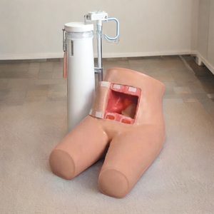 Modelo de entrenamiento de defecación asistida por enema de PVC avanzado DARHMMY para escuelas y hospitales de formación de enfermeras - Product Image 3