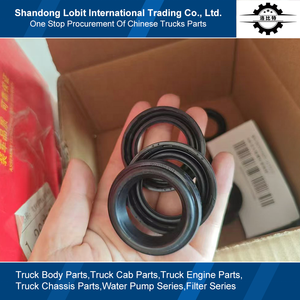 Kamyon yedek parçaları MT13 MT07 doğal gaz motoru yüksek kaliteli ateşleme bobini burç astar yağ keçesi 082V03905-0173 - Product Image 4