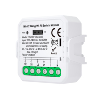 Modul Saklar Relay WiFi Tuya Kontak Kering 2 Kanal IP21 2-Arah AC 110-220V DC 12/24V Maks 2*10A Kompatibel dengan Alexa Google Home