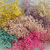 Bouquet de fleurs séchées romantiques pour femmes, fleurs préservées, gypsophile séchée, vente en gros