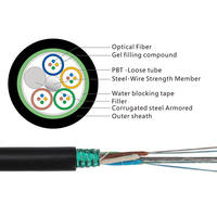 Cable de Fibra Óptica Blindado de 24 Hilos, Cable de Fibra Óptica Metálico Blindado de 24f, Precio por Metro del Rollo
