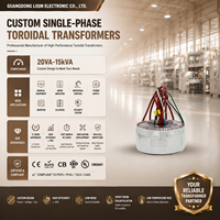Haute qualité monophasé 50W-5000W entrée 220V sortie 30v 16v transformateur toroïdal pour amplificateur audio