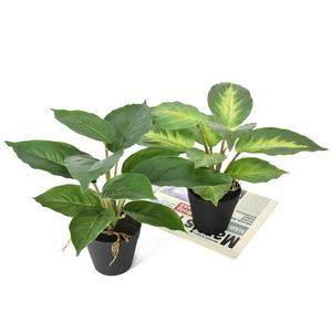 ต้นไม้ประดิษฐ์อะไกลโอเนมา ดอกไม้ปลอมเหมือนจริงสำหรับตกแต่งบนโต๊ะ - Product Image 6