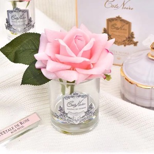 Cote Noire <b>Reed</b> <b>Diffuser</b> Glass Aromatherapy Floral Fragrance All Season Use - Product Image 1