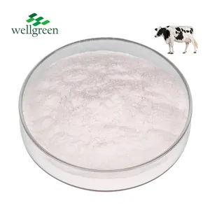 High Quality Health Supplement 15%Immunoglobulin Bulk Bovine Colostrum Powder
