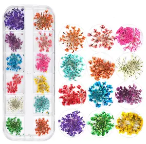 10 tipi yeni japon tırnak 12 renk yıldız güneş çiçek papatya manikür kuru çiçek tırnak sanat dekorasyon için kuru çiçek