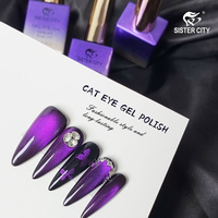 Vernis Gel Effet Magnétique Œil de Chat, Couche de Finition Longue Durée, Base Coat, Sans Résidu, Adhérence Forte, Nail Art Professionnel
