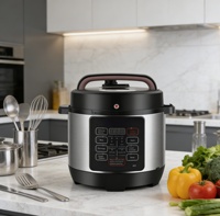Cuisinière à riz électrique intelligente de haute qualité 4L/5L/6L, cuve antiadhésive, contrôle numérique du minuterie, affichage LED en acier inoxydable