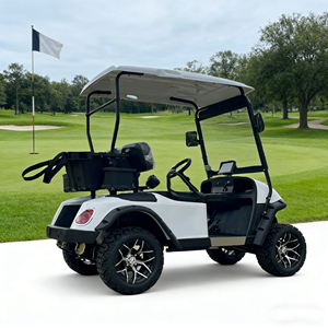 Voiturette de golf électrique 2 places la plus vendue, batterie au lithium, longue portée, charge rapide, véhicule électrique avec accessoires de golf - Product Image 3