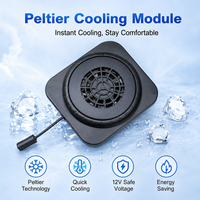 Module de refroidissement Peltier 12V grande taille 20, nouvelle collection été usine ℃   Refroidisseur Peltier à Différence de Température pour Refroidir les Vêtements