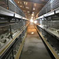 Système de cages automatiques de haute qualité pour poules pondeuses et poulets de chair pour poulailler