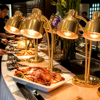 Lampe chauffante alimentaire électrique infrarouge à double col de cygne et abat-jour cloche, réglable, pour buffet, service de luxe et restauration, pour maintenir au chaud