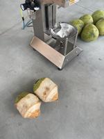 Automatische groene kokosnootschilmachine met elektrische motor voor gebruik in fruitverwerkingsbedrijven