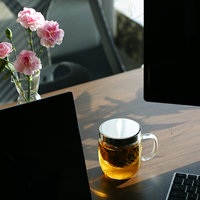 Ensemble de tasses à café en verre borosilicate écologique fait main vintage personnalisable 350 ml Résistant à la chaleur Transparent Moderne Luxe