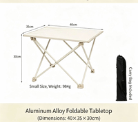 Table de loisirs pliante portable d'extérieur, table ultralégère en alliage d'aluminium, table de pique-nique, barbecue, camping, plage, table à thé pour les voyages en voiture
