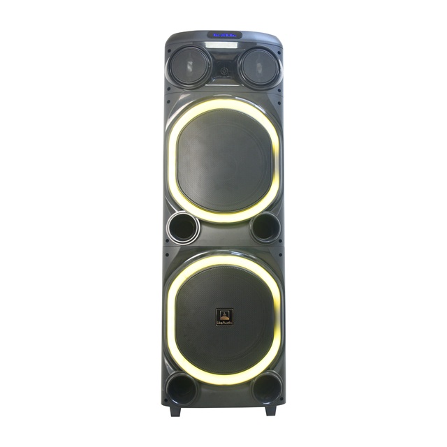 V Dual 12'' Bluetooth Party Speaker RGB Light DJ Karaoke Speaker with Audio System Sound Wireless Wooden Speakers