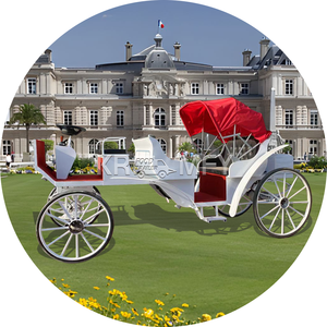 Chariot électrique sans chevaux pour visites touristiques, type Victoria, chariot électrique pour balades, chariot électrique à chevaux - Product Image 6