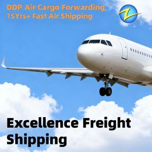Logistica Aerea DDP, Agente di Spedizione da Shenzhen, Fuzhou, Ningbo, Trasporto Aereo LCL, DHL, UPS, FedEx Porta a Porta verso <span class=keywords><strong>Tunis</strong></span>, Durban, Mombasa - Product Image 5