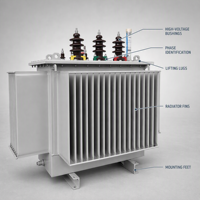 Transformateur de distribution triphasé immergé dans l'huile CE EAC ISO UL S11 250KVA 50/60Hz 6.3kV 10kV