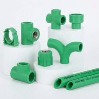 Raccords de tuyauterie PPR de qualité supérieure REHOME Factory – Matériaux de plomberie essentiels pour la connexion d'eau, y compris les bouchons et autres accessoires essentiels