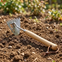 Désherbeur manuel en acier inoxydable avec manche en bois pour le désherbage des interstices de pavés et le desserrage du sol