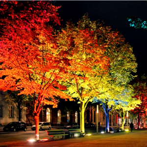 Projecteur LED programmable pour changer les couleurs des arbres et créer des scènes nocturnes dynamiques pour les événements en plein air - Product Image 1