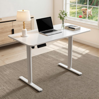 Bureau assis-debout électrique moderne pour le télétravail - Bordure ergonomique en arc et option économique