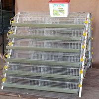 Cage pour caille, équipement d'élevage agricole, meilleure vente