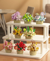 Kit de construction botanique DIY : Rose en pot, Tournesol, Succulente, Bonsaï – Ensemble créatif pour la décoration intérieure et les cadeaux