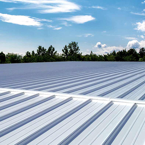 <span class=keywords><strong>Peinture</strong></span> Polymère Thermoréfléchissante et Imperméable à l'Eau avec Design Moderne pour Toitures en Béton et en Métal - Product Image 6