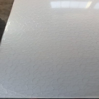 Feuille de motif en plastique PS GPPS en relief clair 2mm 3mm feuille de polystyrène à motif texturé pour porte de douche de salle de bain
