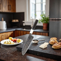 Ensemble de couteaux de cuisine personnalisés, acier Damas 33 couches avec manche en résine et acier inoxydable, bois d'ébène aiguisé pour trancher les aliments