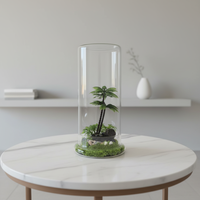 Dôme en verre vide pour exposition de fleurs, terrarium pour plantes avec base en verre pour la décoration intérieure et les fêtes de Noël