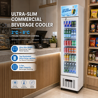 Réfrigérateur vertical compact en acier inoxydable pour boissons, idéal pour les magasins de détail et les supérettes