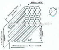 Clarificateurs lamellaires à tubes inclinés en PP/PVC/SS304 pour la séparation des solides et de l'eau, pour le traitement des eaux de rivière, domestiques et minières