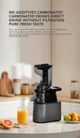 Industriële koude pers sapcentrifuge met stalen auger, multifunctioneel voor gember, wortel en ander fruit, geschikt voor restaurants en commerciële verwerking.