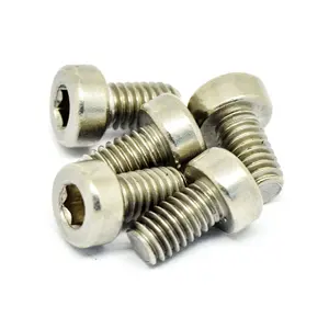 Factory Custom High Strength TORX Socket Head Screw Steel Metal Fastener Head Screws Bolt And Cap Screws