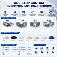 Servicio de Moldeo por Inyección de Carcasas de Plástico para Cámaras de Seguridad OEM |   Diseño de Moldes Personalizados, Producción y Ensamblaje de Piezas de ABS y PC, CE, ROHS, ISO