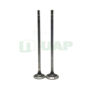 S60 động cơ diesel van nạp 23529629 và van xả 23507504 van động cơ - Product Image 1